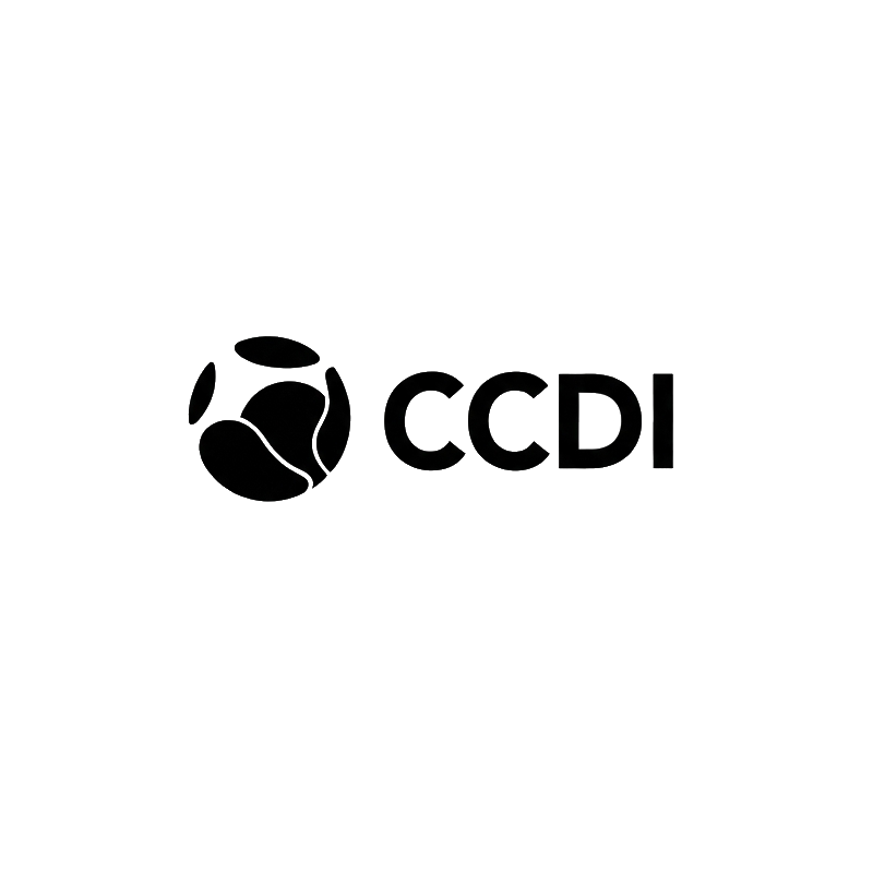 SDI International logo with globe icon and 'CCDI' text for About page.